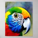 Search for colourful parrot posters Animal