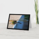 Search for dragonfly wing cards Photography