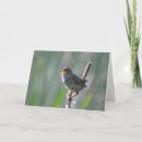 Search for marsh cards Bird