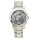 Search for koala watches Australia