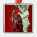 Search for pajama christmas tree decorations Animal