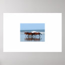 Search for corolla posters Obx
