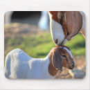 Search for animal head mouse mats Square