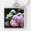 Search for hydrangea flowers photography Hydrangeas