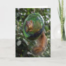 Search for funny squirrel cards Bird feeder