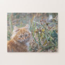 Search for cat face puzzles Pet