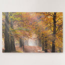 Search for autumn puzzles Path