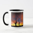 Search for sonoran mugs Desert