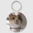 Search for calico key rings Pet