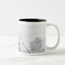 Search for civil war soldiers mugs School