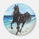 Search for stallion magnets Black
