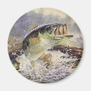 Search for fly fishing magnets Bass