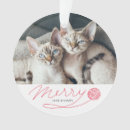 Search for yarn christmas tree decorations Pet