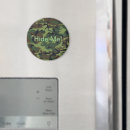 Search for hiding magnets Camouflage