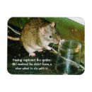 Search for rat magnets Humour
