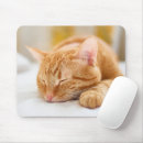 Search for sleeping baby mouse mats Kitten