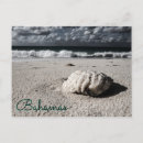 Search for paradise island bahamas postcards Travel