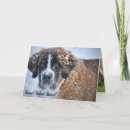 Search for bernard cards Encouragement