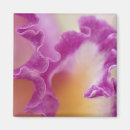 Search for hybrids magnets Flower