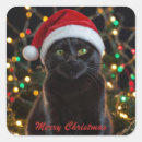 Search for santa hat stickers Black cat