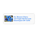 Search for forget me nots return address labels Flowers