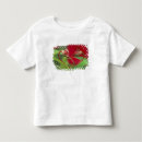 Search for begonia clothing Nature