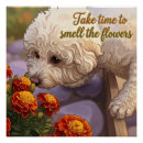 Search for smells posters Flowers