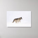 Search for wild side canvas prints Animals in the wild
