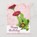 Search for bellis cards Floral
