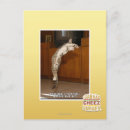 Search for pointer postcards I can has cheezburger