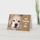Search for cocker spaniel birthday cards Friend