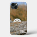Search for owl pics cases Bird