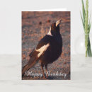 Search for magpie cards Wild