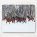 Search for danita delimont mouse mats Darrell gulin