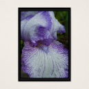 Search for chubby photography Floral