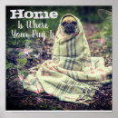 Search for pug posters Puppy