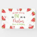 Search for one in a melon banners Fruit