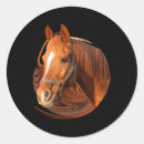 Search for horse pictures stickers Nature