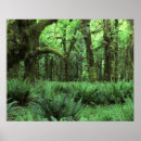 Search for forest floor posters Green