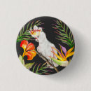 Search for cockatoos badges Drawing