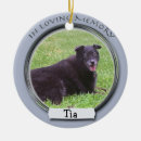 Search for pet memorial ornaments Memory