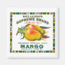Search for mango magnets Pineapple