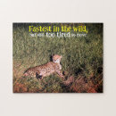 Search for cheetah puzzles Wildlife