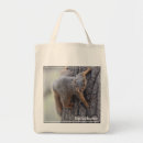 Search for squirrel photo accessories Animals