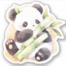 Search for kawaii animal illustration stickers Anime