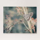 Search for papillon puzzles Butterfly