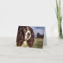 Search for springer spaniel cards Pets