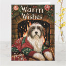 Search for bearded collie christmas cards Pet