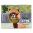 Search for alpaca calendars Cute