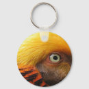 Search for pheasant hunting key rings Bird